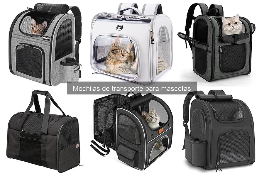 Tipos de Mochilas de Transporte para Mascotas: Guía Completa