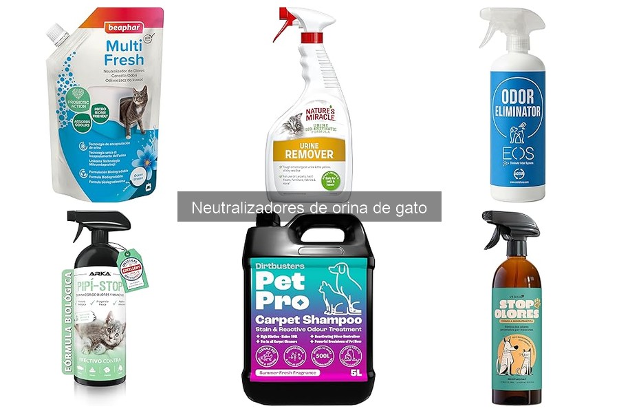 Tipos de neutralizadores de orina de gato: guía completa