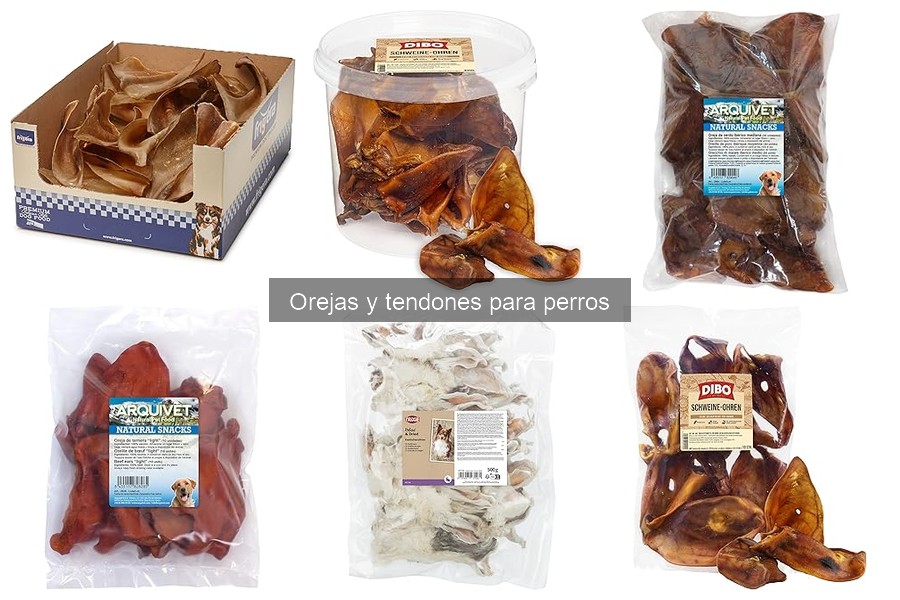 Tipos de orejas y tendones para perros: opciones y marcas