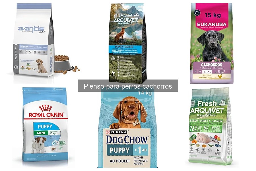 Tipos de pienso para perros cachorros: seco, húmedo y más