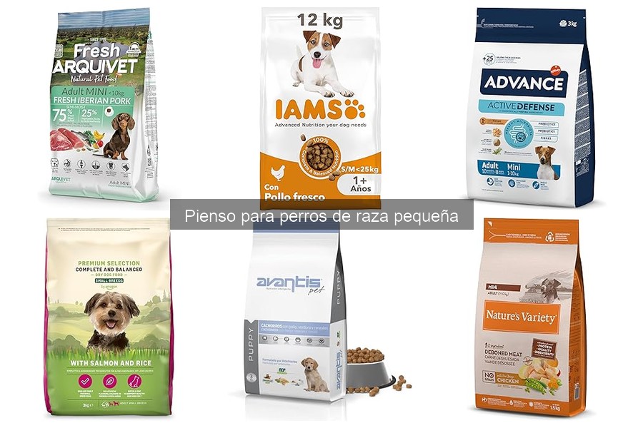 Tipos de pienso para perros de raza pequeña: guía completa