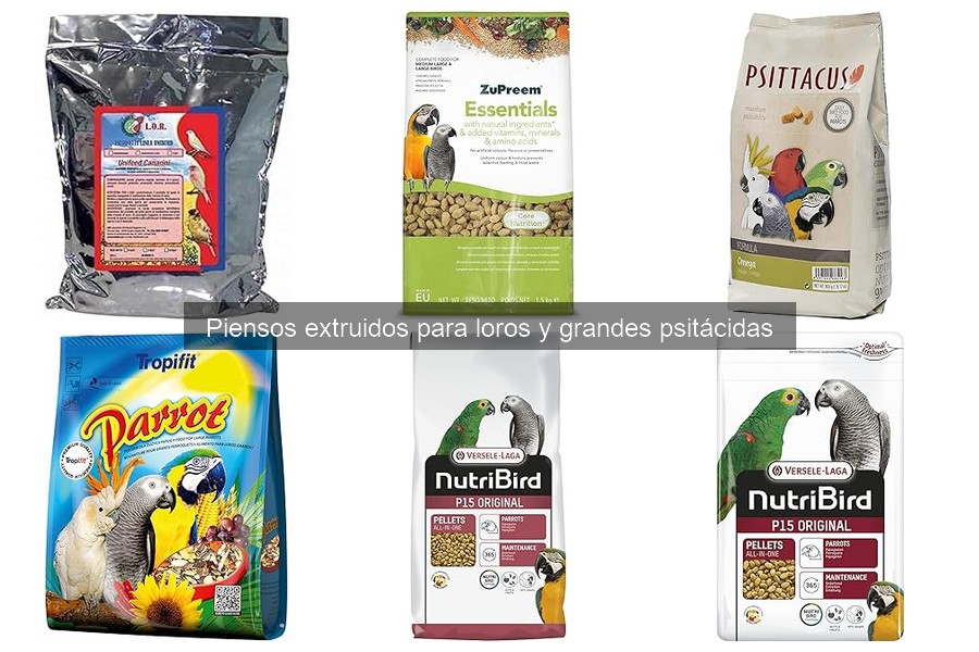 Tipos de Piensos Extruidos para Loros: Mejores Opciones