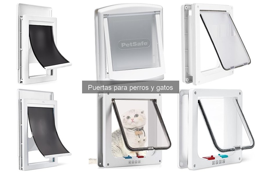 Tipos de puertas para perros y gatos: opciones y características