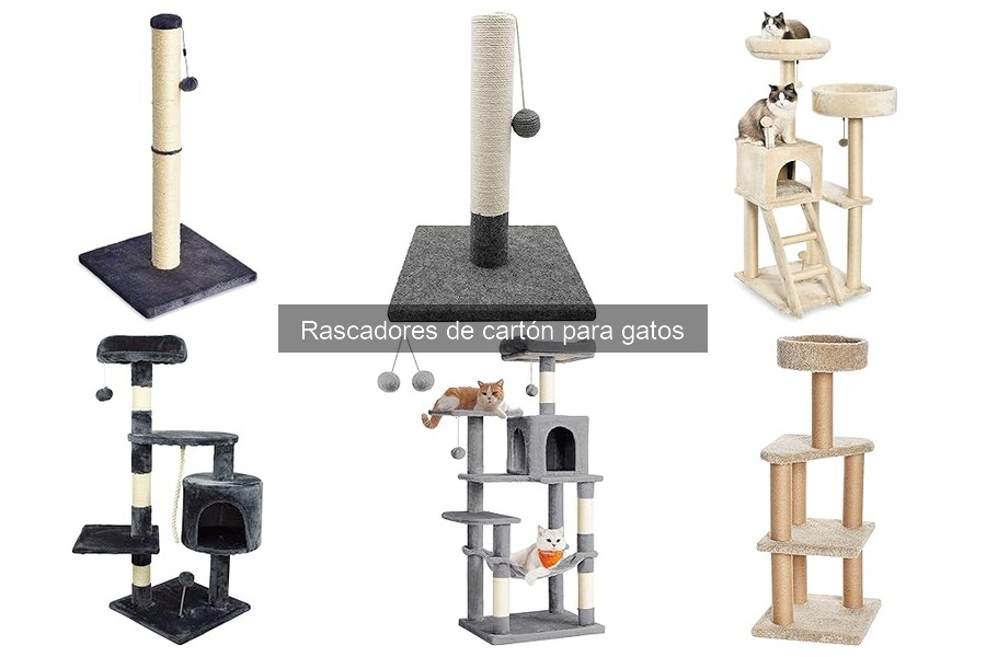 Tipos de rascadores de cartón para gatos: ¡elige el mejor!