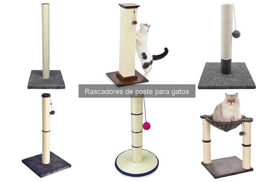 Tipos de rascadores de poste para gatos: características y más