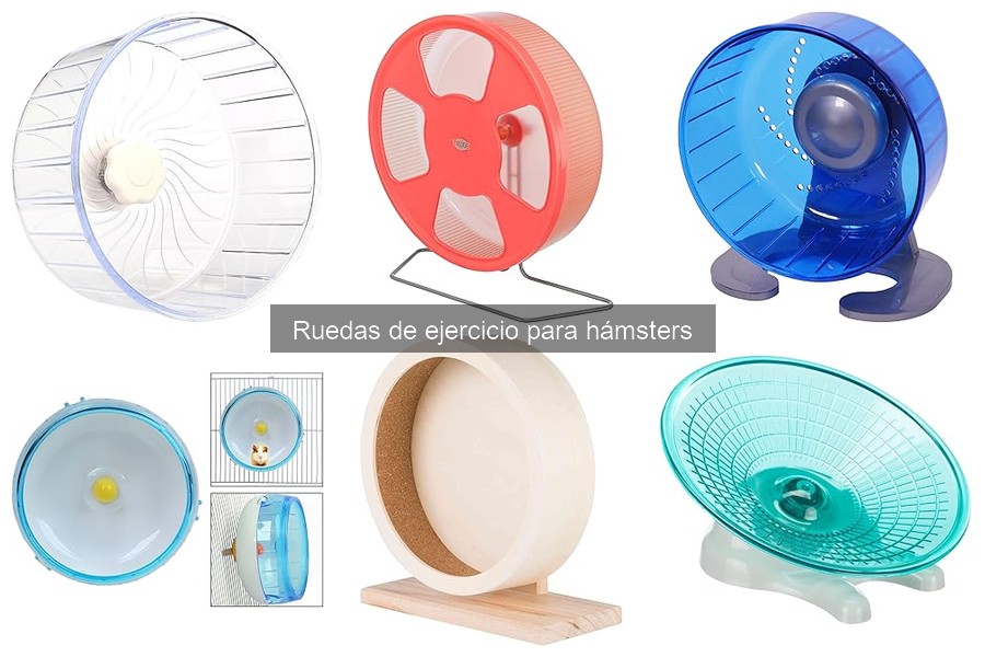 Tipos de ruedas de ejercicio para hámsters: opciones y características