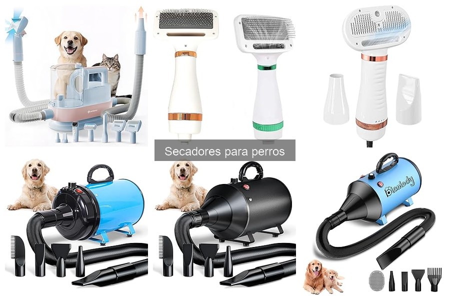 Tipos de secadores para perros: características y usos
