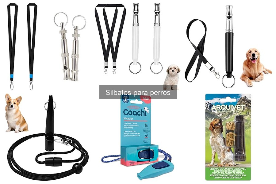 Tipos de silbatos para perros: ¿cuál elegir y cómo usarlos?