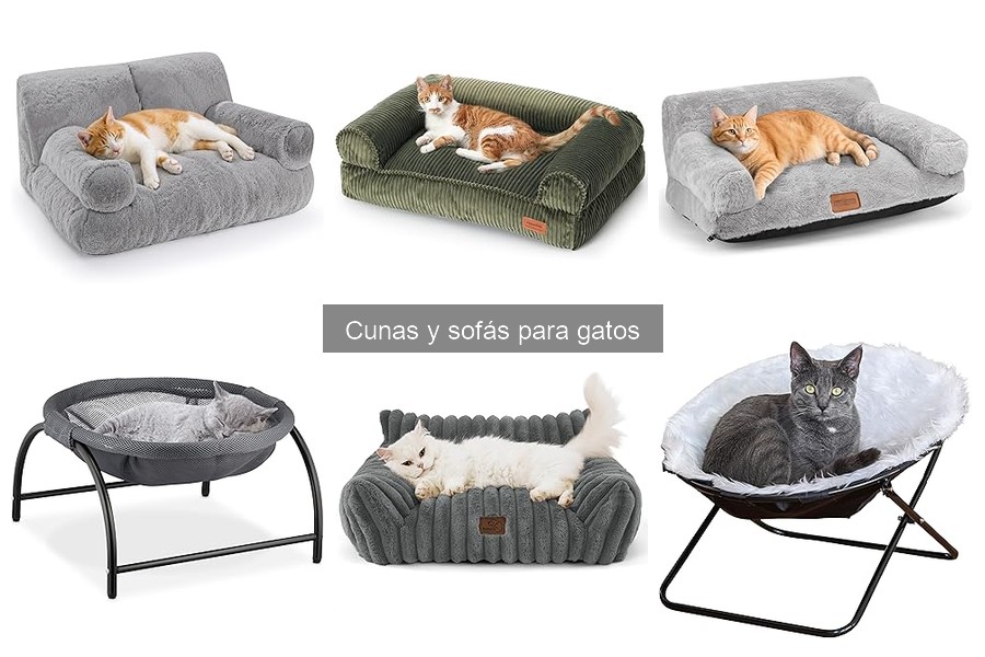 Tipos de sofás para gatos: guía completa y características