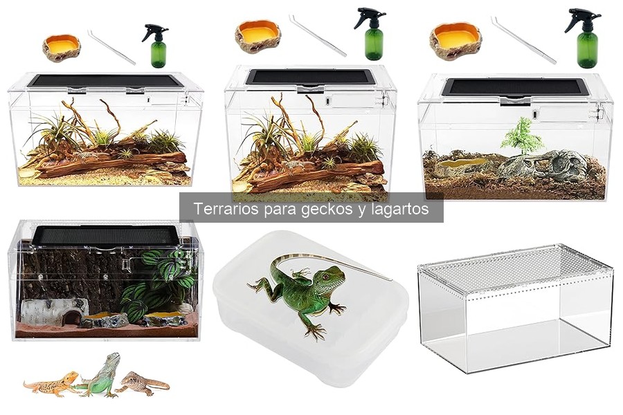 Tipos de terrarios ideales para geckos y lagartos