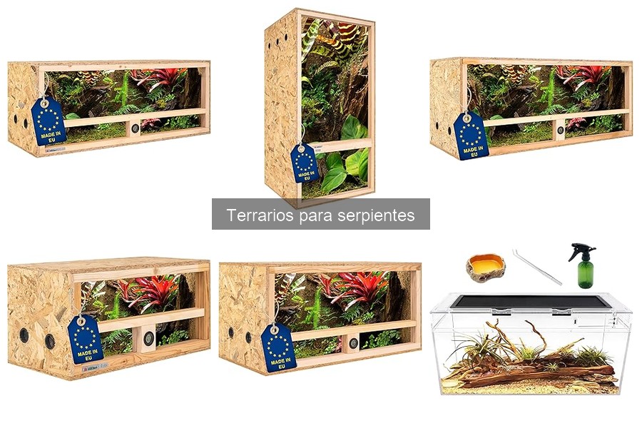 Tipos de terrarios para serpientes: guía completa