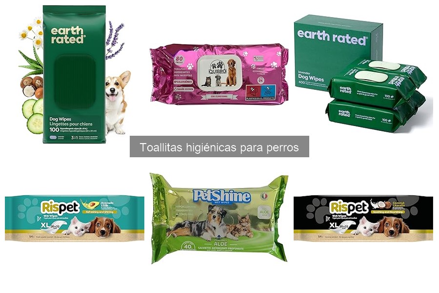 Tipos de toallitas higiénicas para perros y sus usos