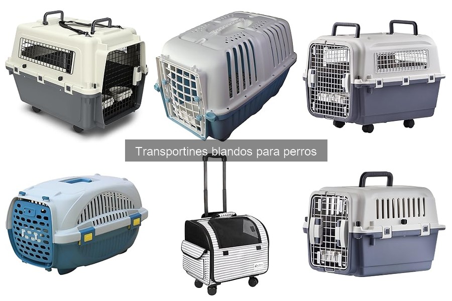 Tipos de transportines blandos para perros: Guía completa