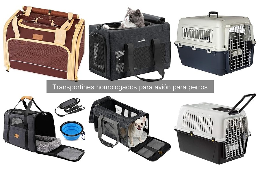Tipos de transportines homologados para avión para perros