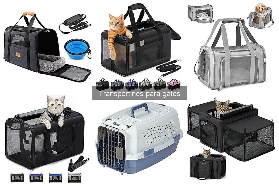 Tipos de transportines para gatos: guía completa en 2023