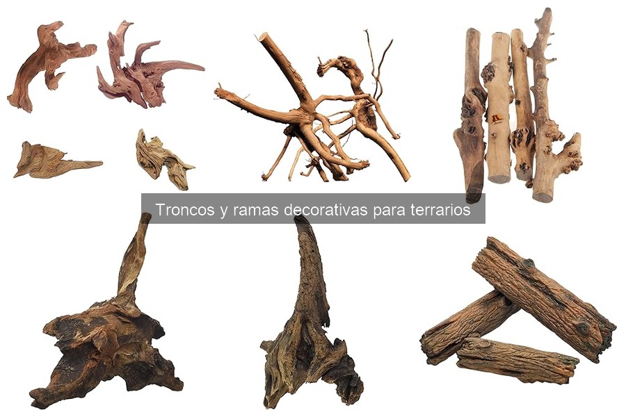 Tipos de Troncos y Ramas Decorativas para Terrarios