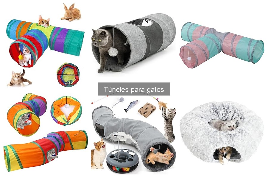 Tipos de túneles para gatos: variedades y características