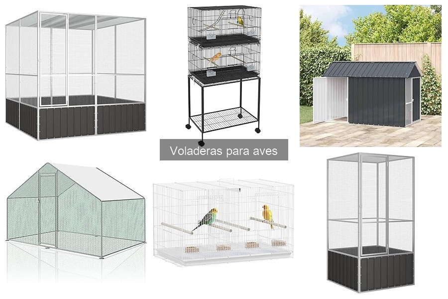 Tipos de voladeras para aves: características y opciones