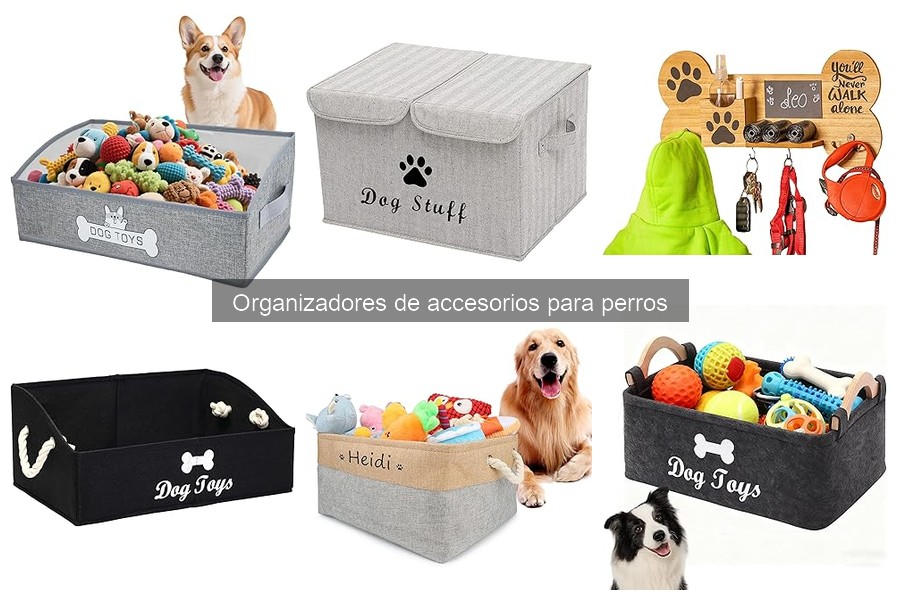 Tips para Organizar los Accesorios de tu Perro de Forma Efectiva