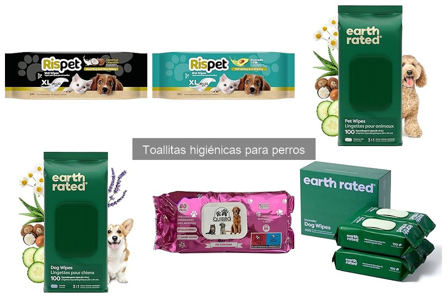Toallitas higiénicas para perros vs. otros métodos de limpieza