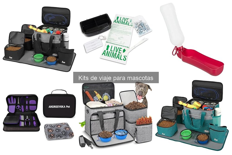 Todo lo que debes llevar en un kit de viaje para mascotas