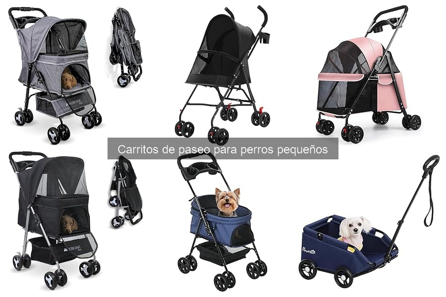 Todo sobre carritos de paseo para perros pequeños
