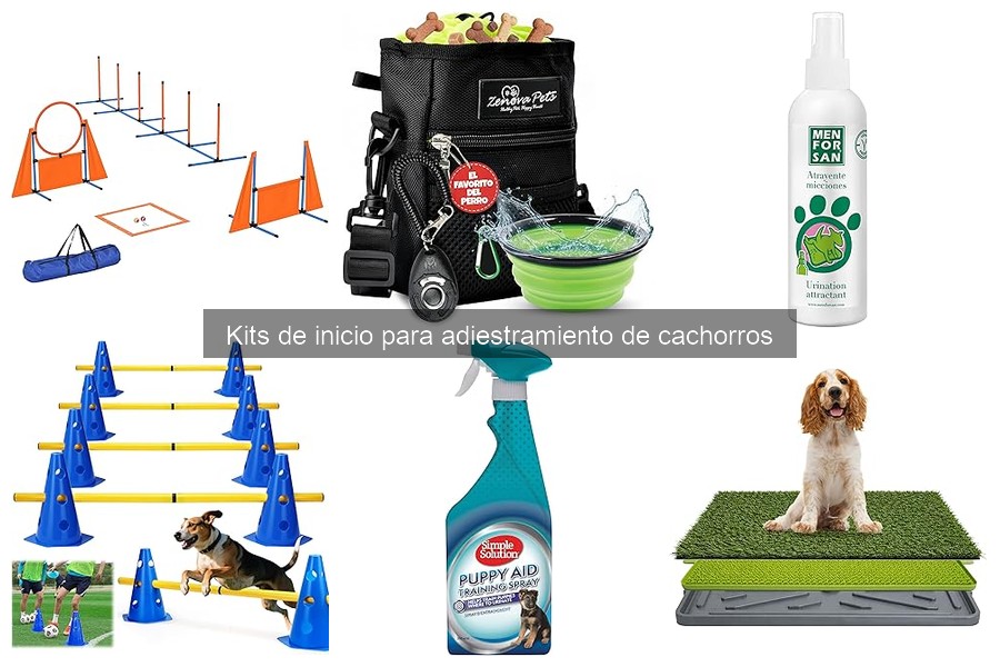 Todo sobre kits de inicio para adiestramiento de cachorros