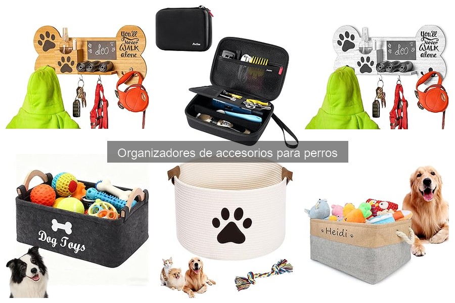 Todo sobre organizadores de accesorios para perros