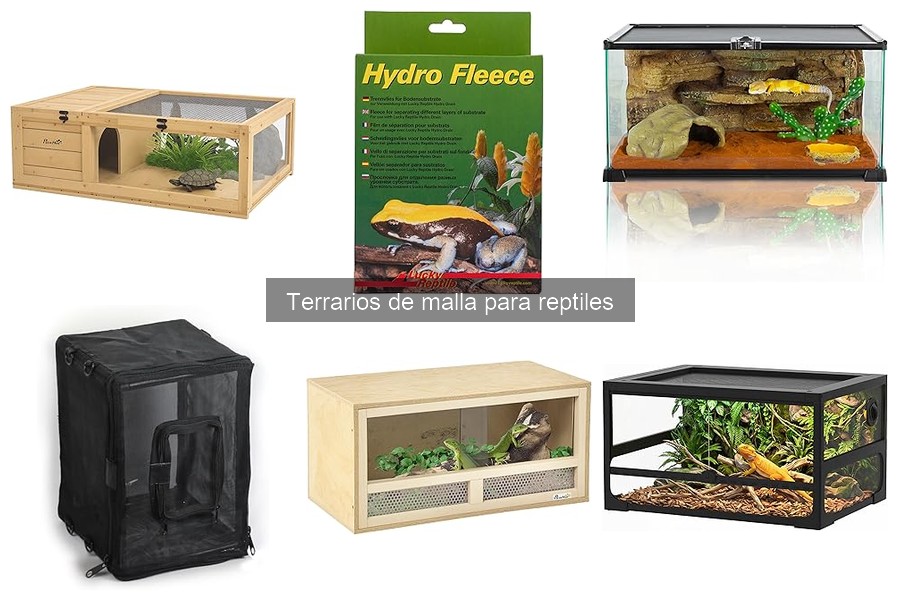 Todo sobre terrarios de malla para reptiles: definición y ventajas