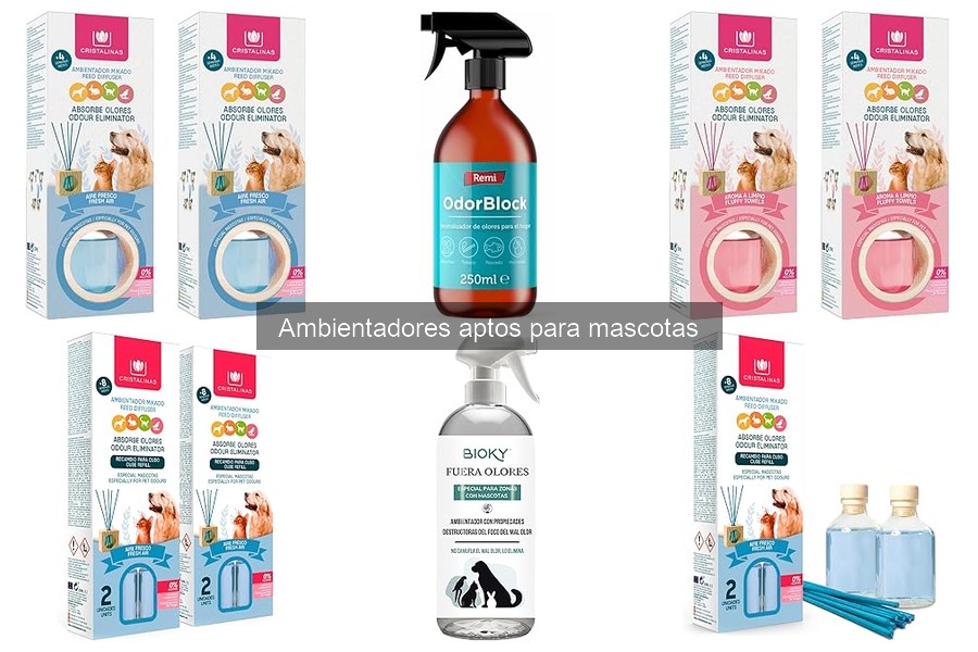 Top ambientadores para gatos: comparativa y recomendaciones