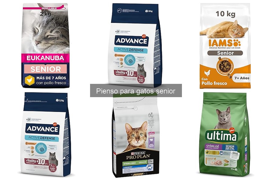 Transición segura a pienso senior para gatos: guía práctica