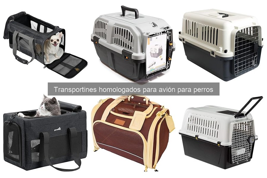 Transportines homologados para avión: ¿Qué son y requisitos?