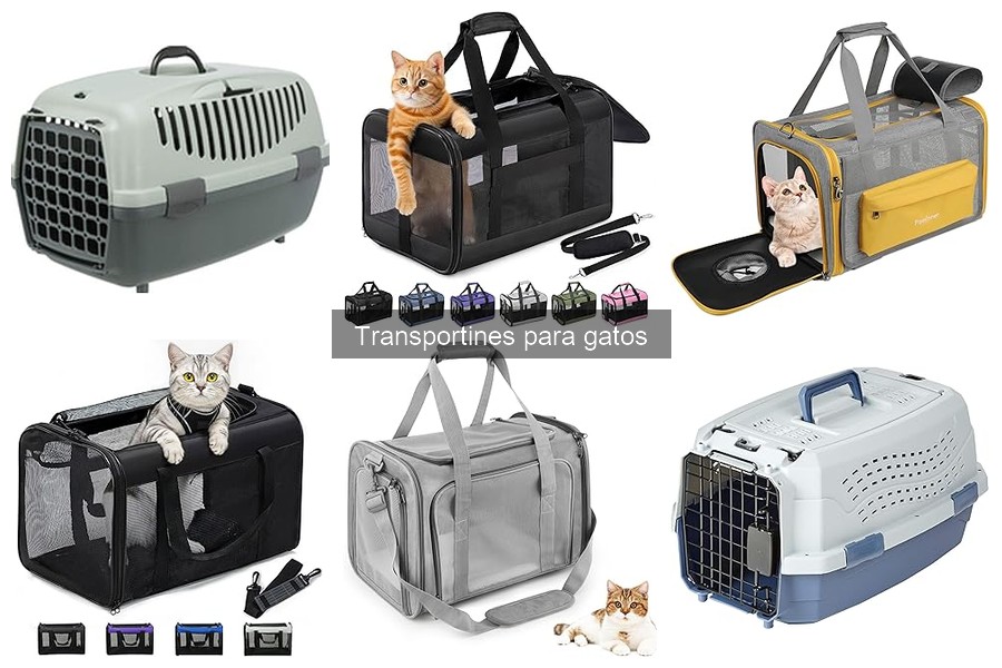 Transportines para gatos con ansiedad: Beneficios y tips