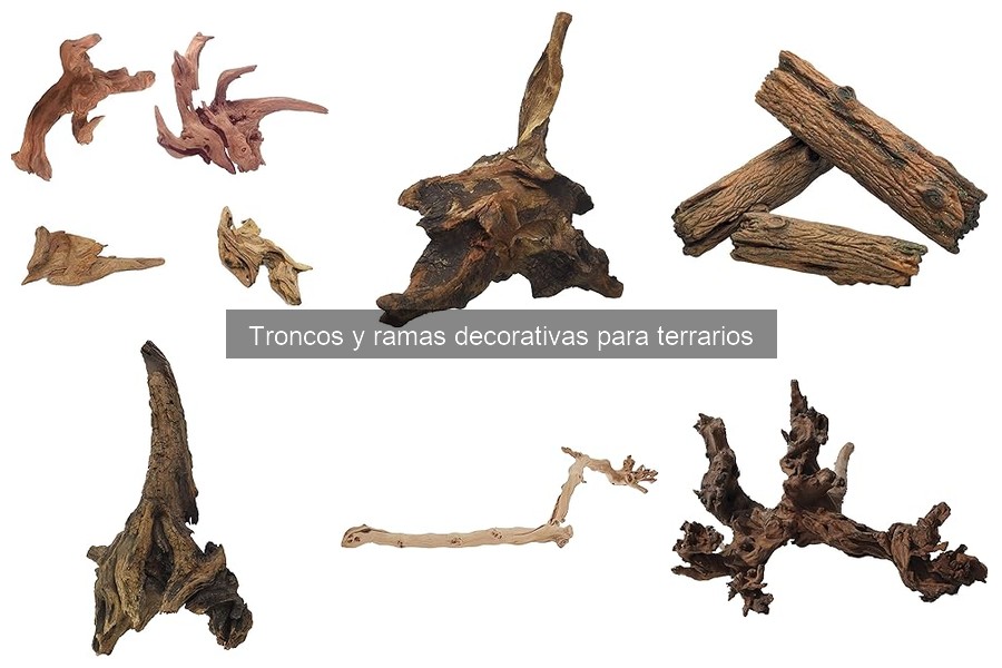 Troncos y Ramas Decorativas para Terrarios: Guía Completa