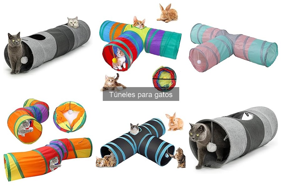 Túneles para gatos: Dónde comprarlos con las mejores ofertas