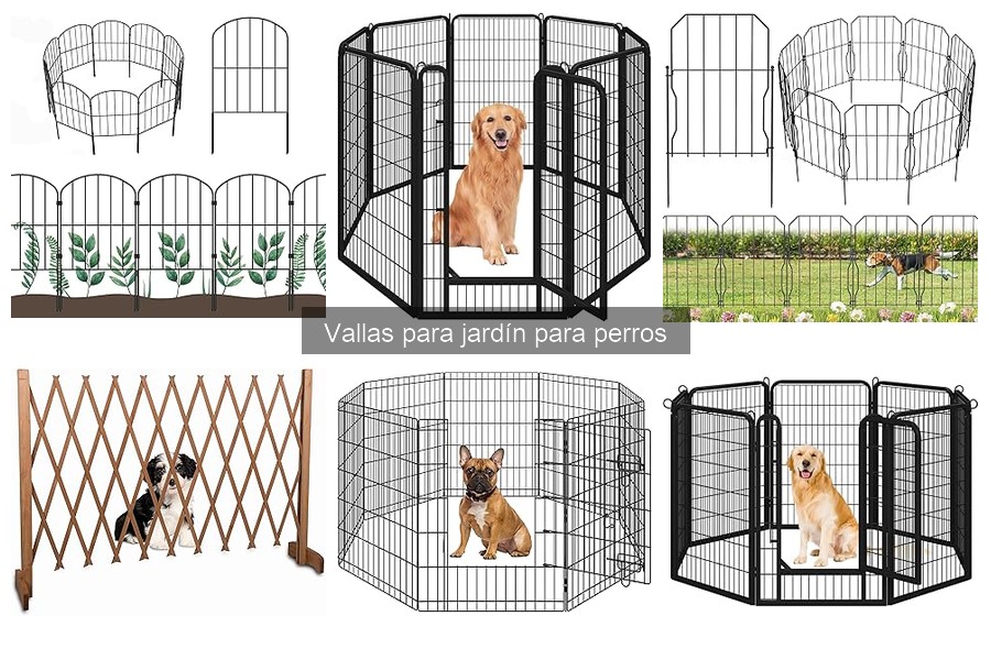 Vallas para jardín para perros: ¿Qué son y sus características?