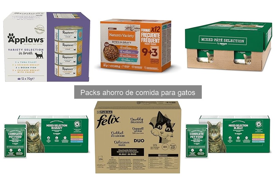 Ventajas de Comprar Comida para Gatos en Packs de Ahorro