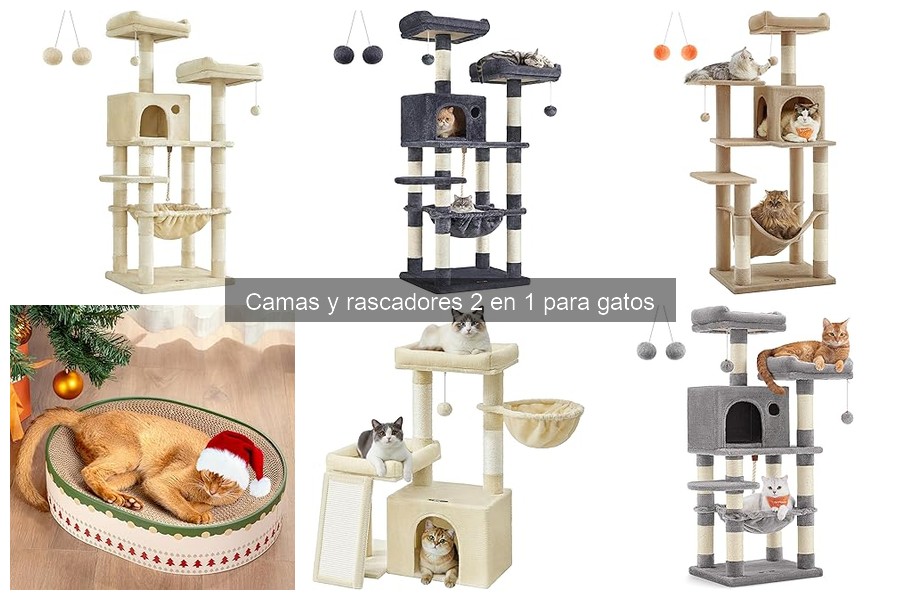 Ventajas de las camas y rascadores 2 en 1 para gatos