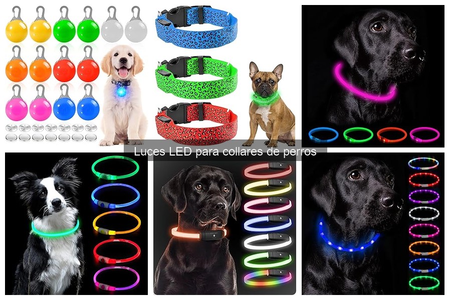 Ventajas de las Luces LED en Collares para Perros
