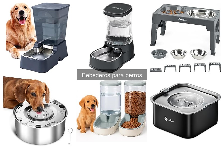 Ventajas de los Bebederos Automáticos para Perros
