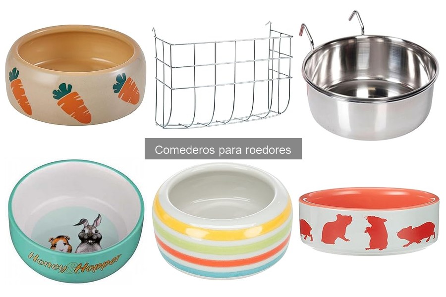 Ventajas de los Comederos de Cerámica para Roedores