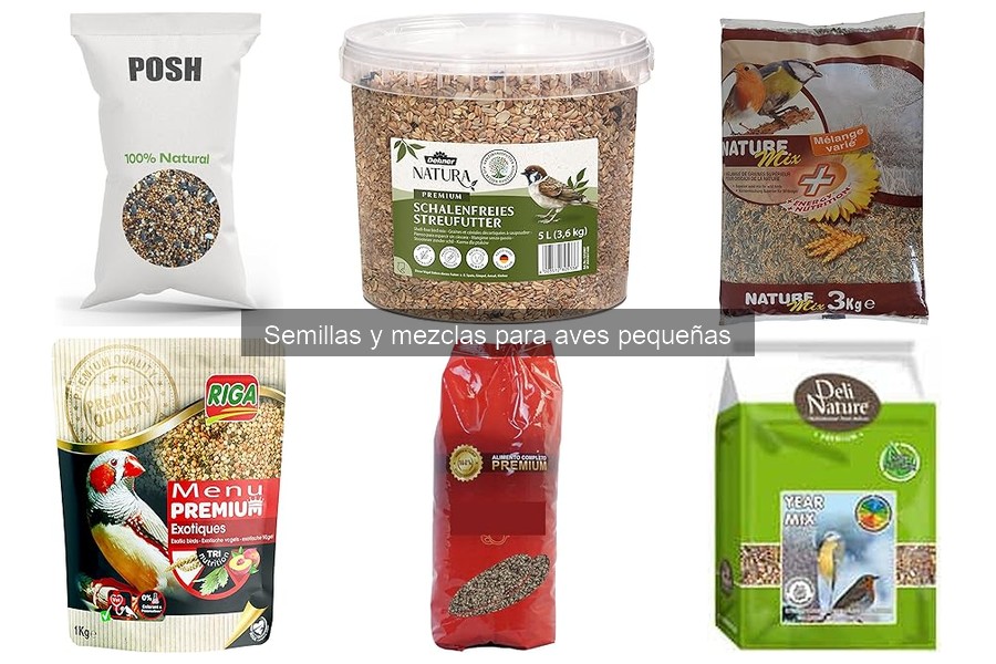 Ventajas de Mezclas de Semillas para Aves Pequeñas