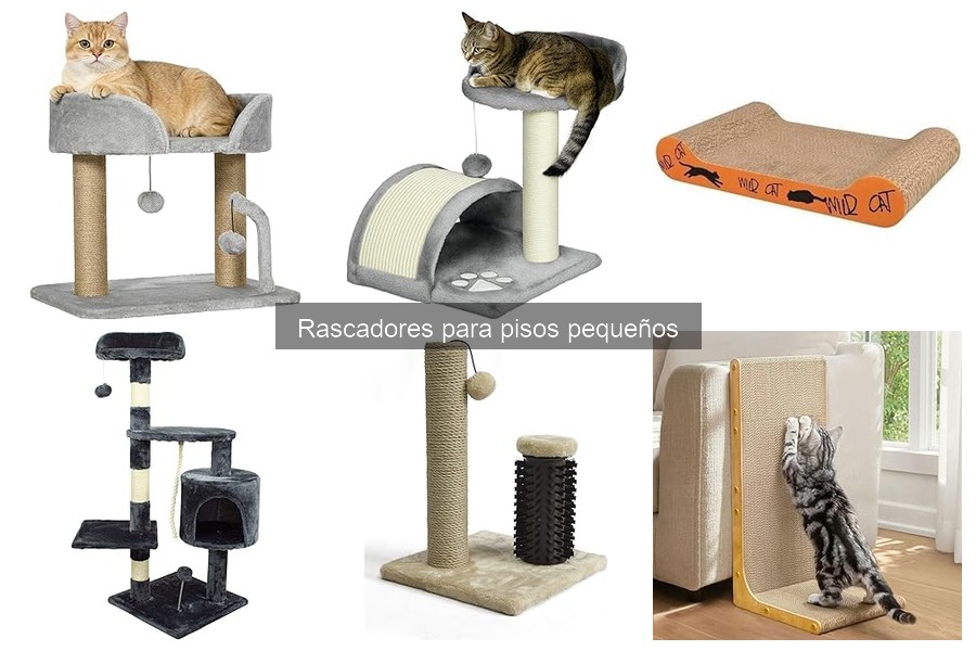Ventajas de rascadores para pisos pequeños: ¿Por qué tener uno?