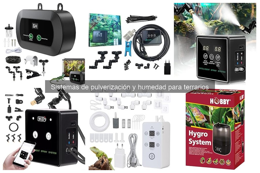 Ventajas de un sistema de pulverización para terrarios