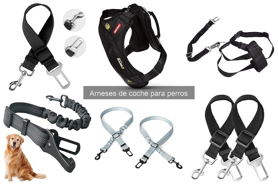 Ventajas de Usar Arnés de Coche para Perros | Seguridad y Comodidad