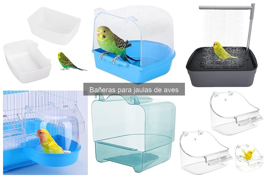 Ventajas de usar bañeras para jaulas de aves