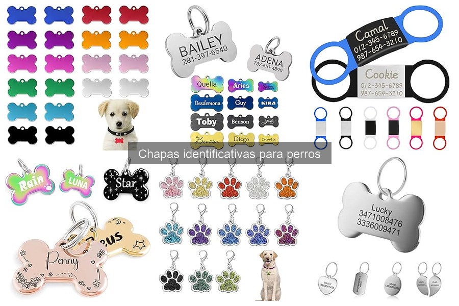 Ventajas de Usar Chapas Identificativas para Perros