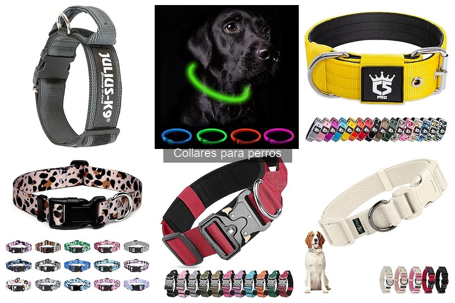 Ventajas de usar collares con GPS para perros