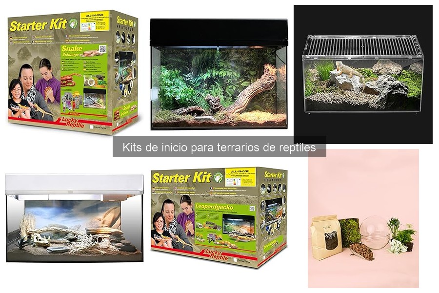 Ventajas de usar kits de inicio para terrarios de reptiles