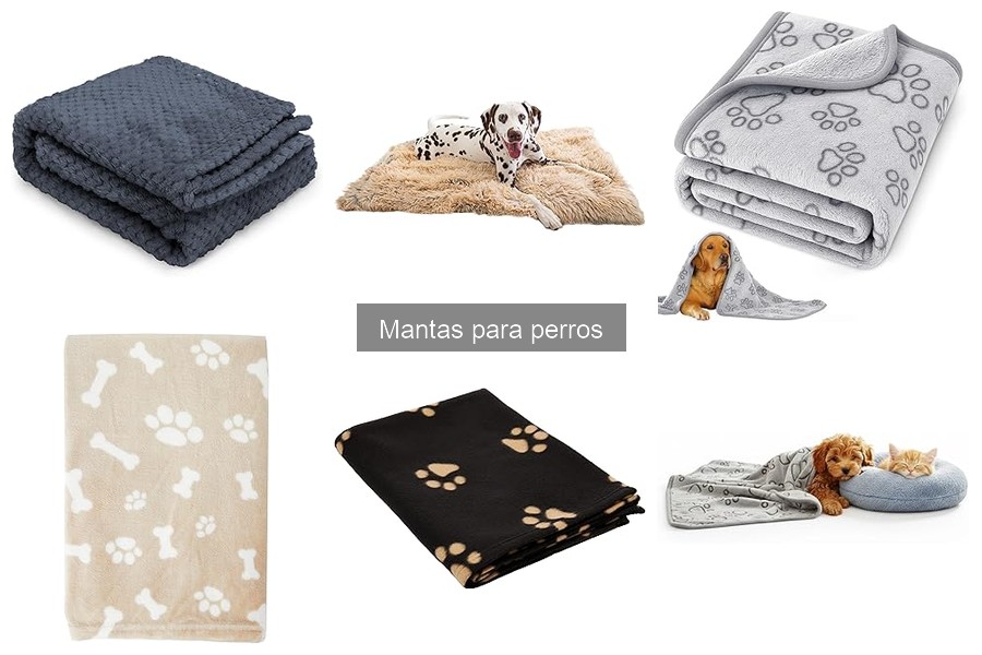 Ventajas de usar mantas para perros: confort y protección